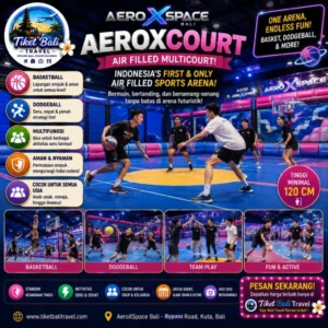 AeroXspace Bali AeroxCourt