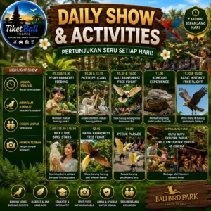 Bali Bird Park Daily Show & Activities