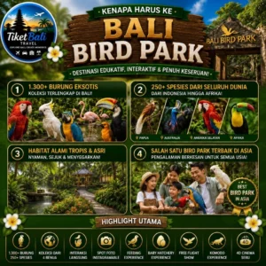 Bali Bird Park Kenapa Harus Ke Bali Bird Park