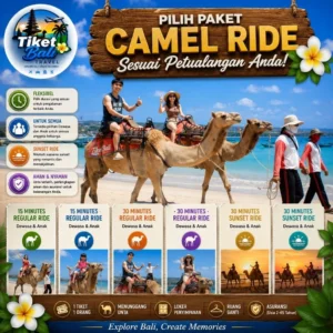 Bali Camel Adventure Pilihan Paket Riding