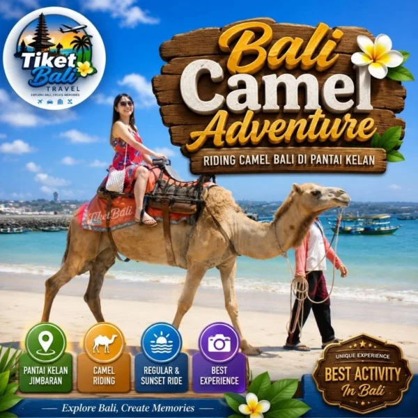 Bali Camel Adventure Riding