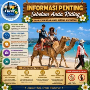 Bali Camel Adventure Riding informasi penting