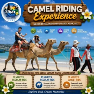 Bali Camel Adventure Riding pantai kelan seru