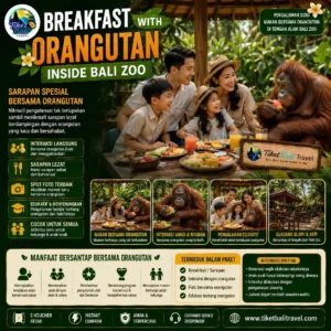 Bali Zoo Breakfast with Orang Utan