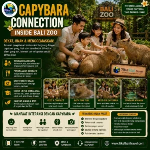 Bali Zoo Capybara Connection